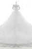 Princess Cathedral Train Tulle and Lace Wedding Dress LD4349 sold by Cocomelody