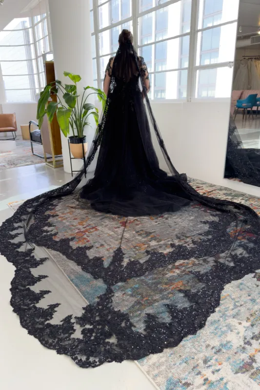 One-tier Lace Edge Tulle Cathedral Veils with Appliques CV0340 made by Cocomelody