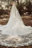 One-tier Lace Edge Tulle Cathedral Veils Appliques CV0188 sold by Cocomelody