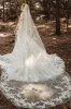 One-tier Lace Edge Tulle Cathedral Veils Appliques CV0188 sold by Cocomelody