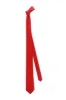 Men's Satin Necktie CZ180002 sold by Cocomelody