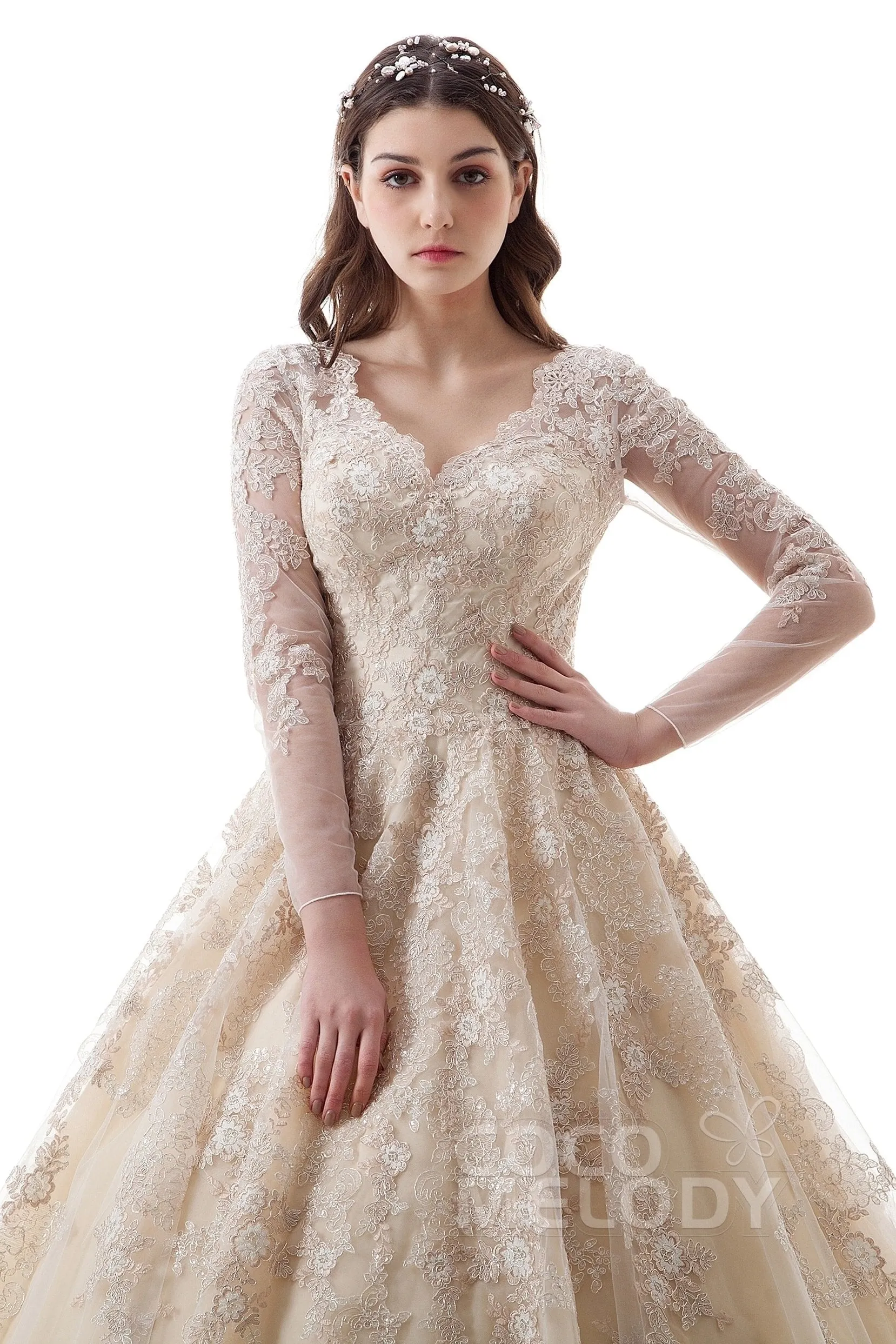 Princess Court Train Lace Tulle Gothic Wedding Dress LD4622 sold by Cocomelody product image thumbnail 3