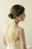 Alloy Headbands with Imitation Pearl and Rhinestone CH0309 sold by Cocomelody