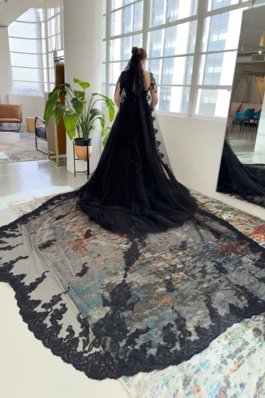 One-tier Lace Edge Tulle Cathedral Veils with Appliques CV0339 made by Cocomelody