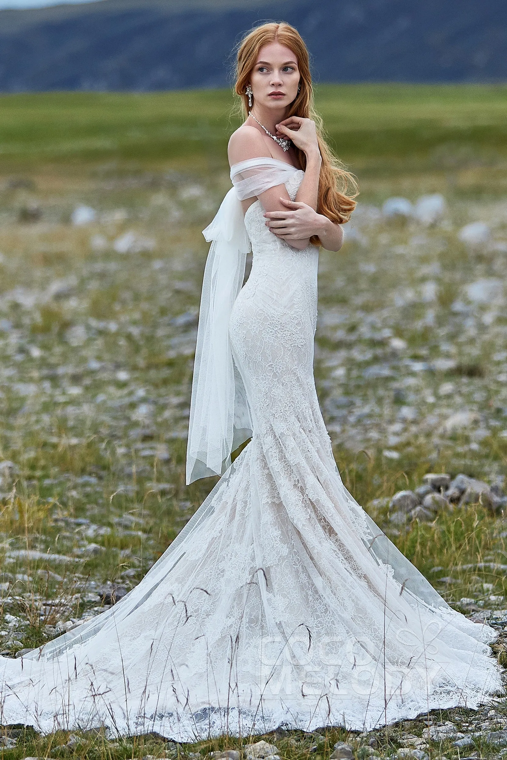 Trumpet-Mermaid Court Train Lace Wedding Dress LD5778 sold by Cocomelody