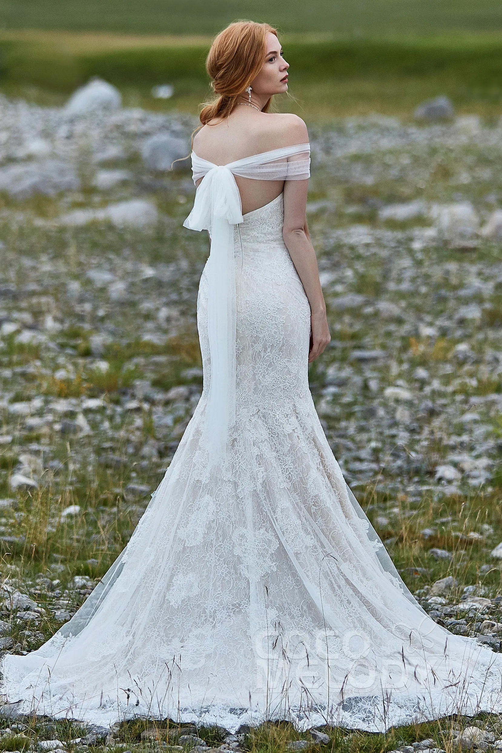 Trumpet-Mermaid Court Train Lace Wedding Dress LD5778 sold by Cocomelody product image thumbnail 2