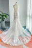 Trumpet-Mermaid Chapel Train Lace Tulle Wedding Dress CW3206 sold by Cocomelody