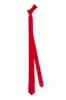 Men's Satin Necktie CZ180001 sold by Cocomelody