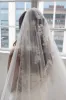 One-tier Lace Edge Lace Tulle Chapel Veils with Appliques CV0325 sold by Cocomelody