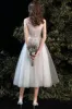 A-Line Tea Length Lace Tulle Wedding Dress 679197245061 sold by Cocomelody