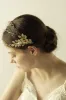 Alloy Headbands with Pearl and Crystals CH0317 sold by Cocomelody