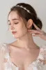Alloy Tiaras with Pearl Rhinestone CH0366 sold by Cocomelody