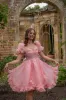Butterfly Princess Midi Dress sold by fairy tong