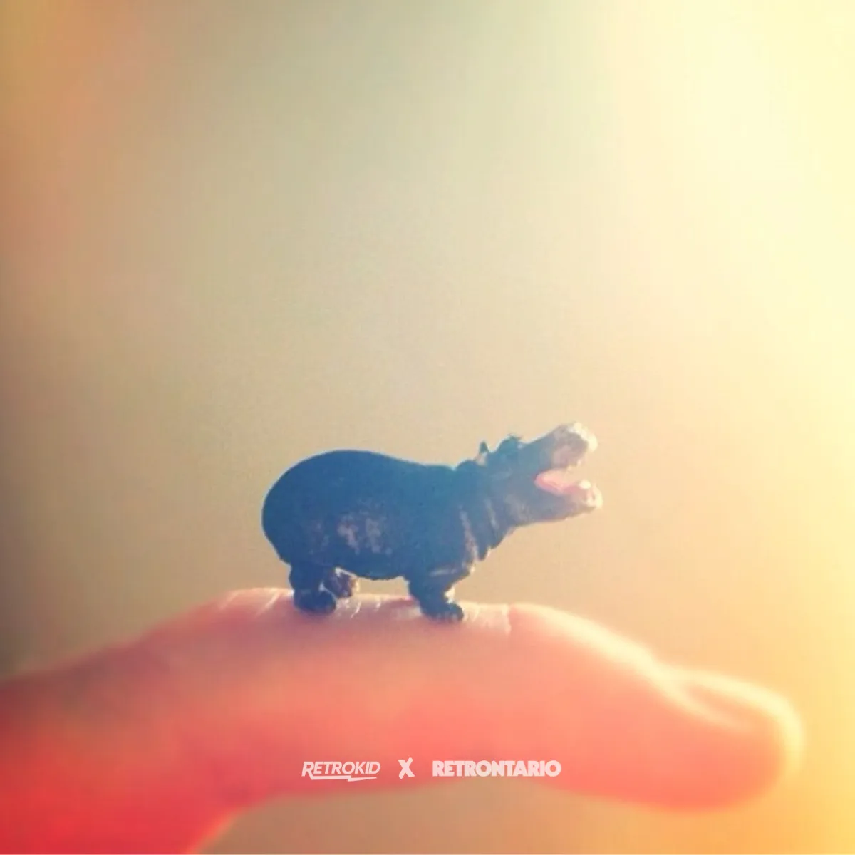 Retrontario House Hippos T-Shirt - Light Green sold by RetroKid product image thumbnail 2