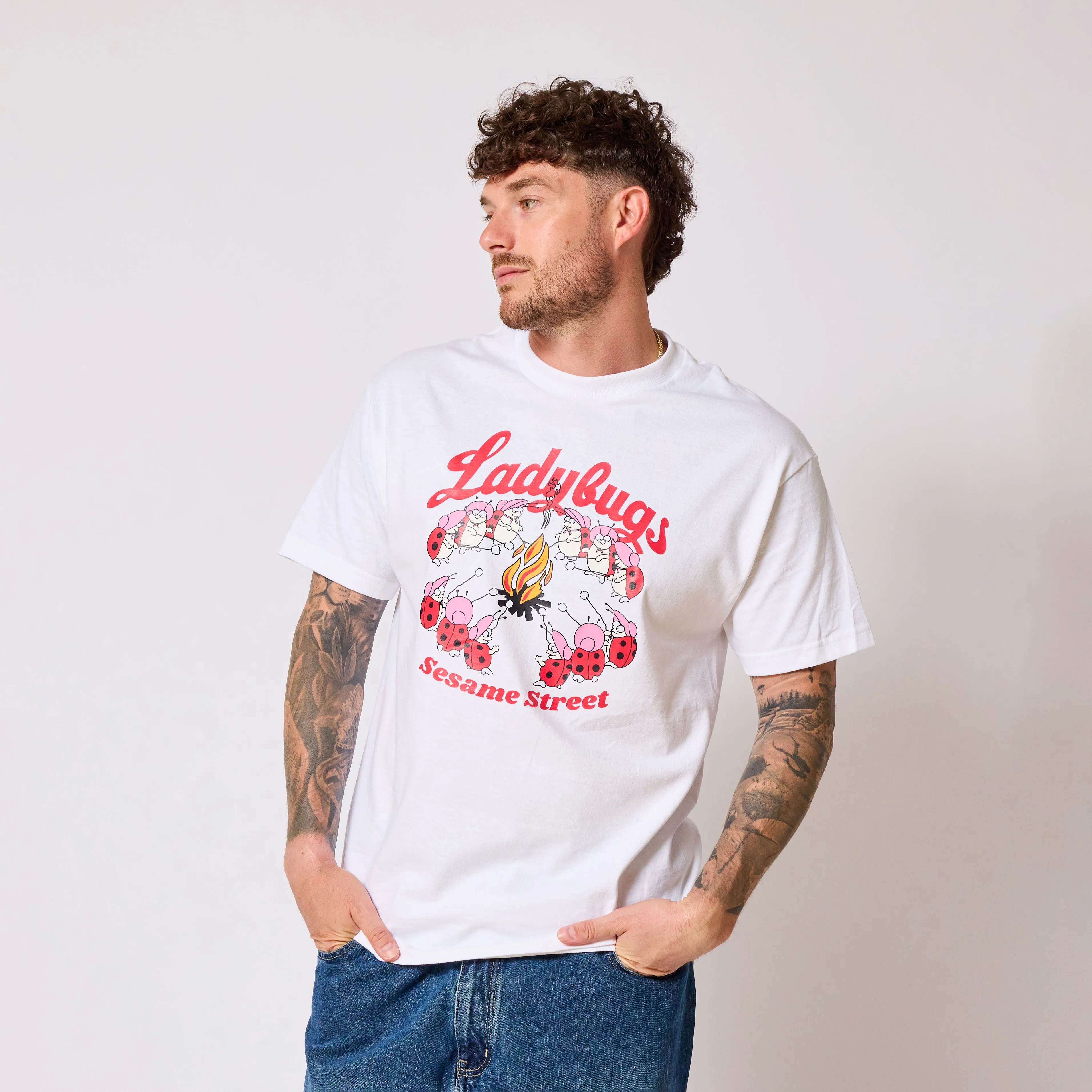 Sesame Street Ladybugs Picnic T-shirt sold by RetroKid product image thumbnail 5