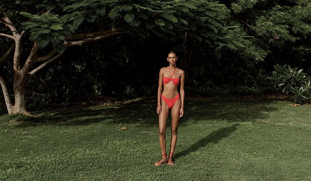 Crista Brief sold by Bond-Eye product image thumbnail 5