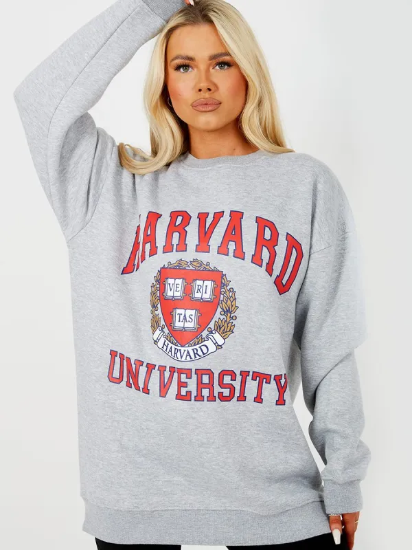 Jane HARVARD Graphic Sweatshirt Jumper In Grey sold by Vivichi
