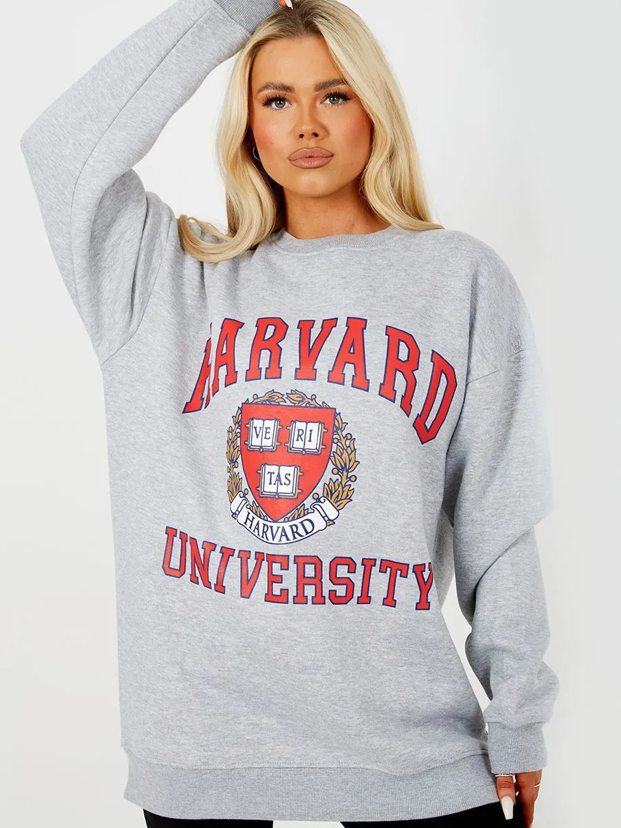 Jane HARVARD Graphic Sweatshirt Jumper In Grey sold by Vivichi