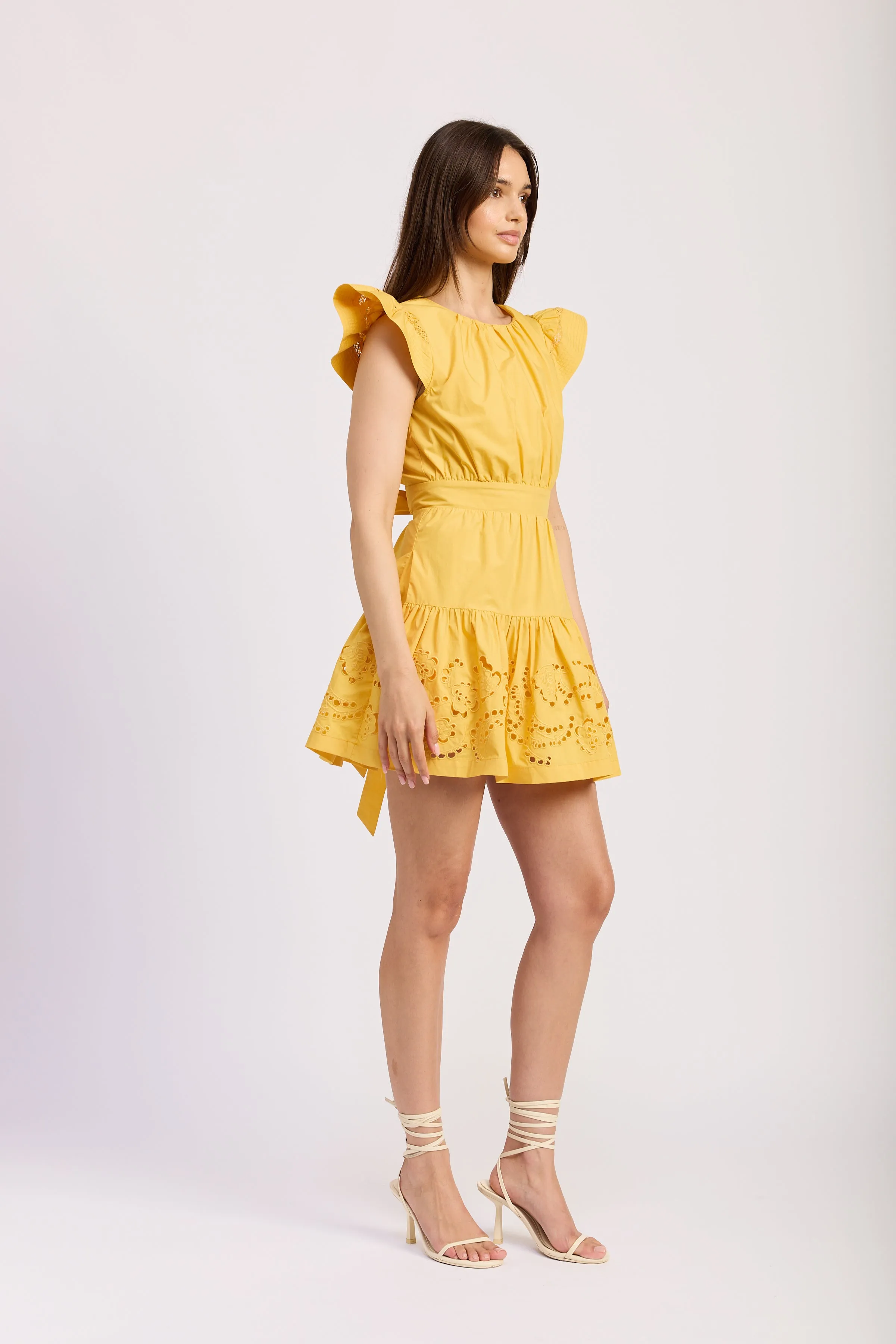 Taylor Mini Dress sold by En Saison product image thumbnail 2