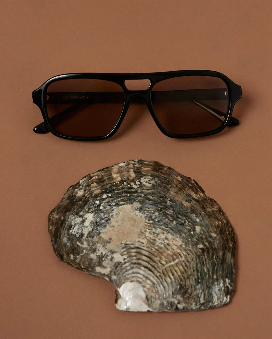 THE DEL RAY - DARK CHOCOLATE-DARK CHOCOLATE sold by Banbe Eyewear product image thumbnail 2