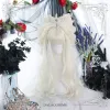 Ins Moonlight Natural Gentle White Long Curly Lolita Wig sold by Lemail wig