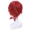 New Ranma 1/2 Ranma Saotome Cosplay Wigs 25cm Red Burgundy Short Cosplay Wigs sold by Lemail wig
