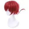 New Ranma 1/2 Ranma Saotome Cosplay Wigs 25cm Red Burgundy Short Cosplay Wigs sold by Lemail wig