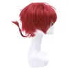 New Ranma 1/2 Ranma Saotome Cosplay Wigs 25cm Red Burgundy Short Cosplay Wigs sold by Lemail wig