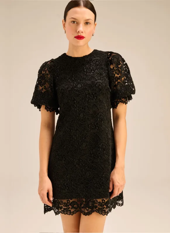 Sukienka mini z koronki w kolorze czarnym - Sharon sold by Le Brand