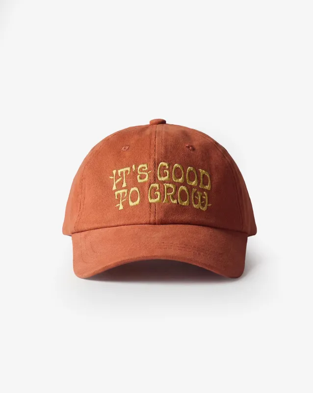 4020 Knowledge cap - chestnut made by uskees
