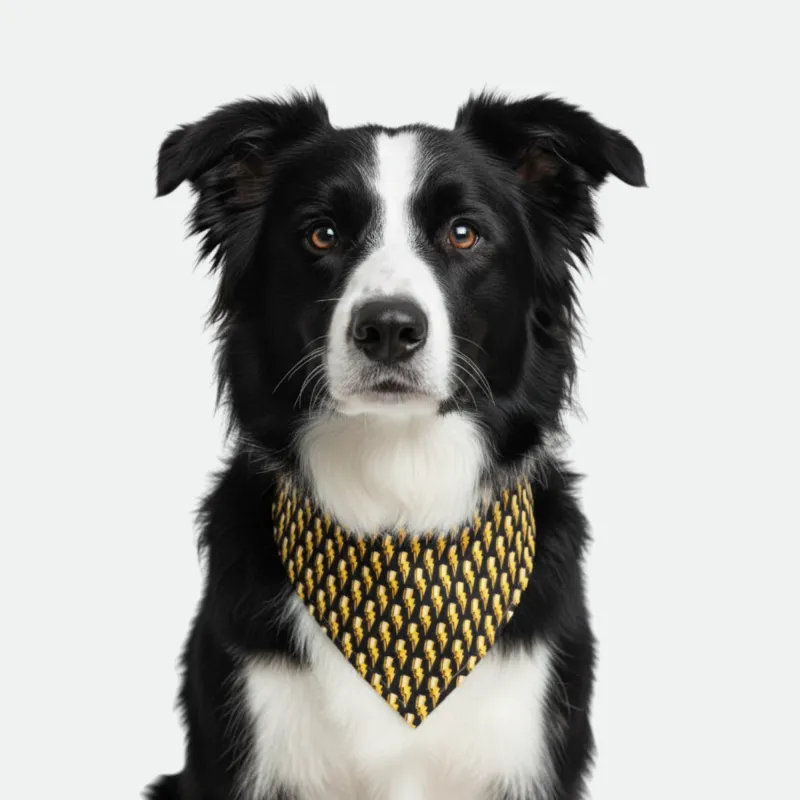 Bolt/Yellow Dog Bandana made by Matador