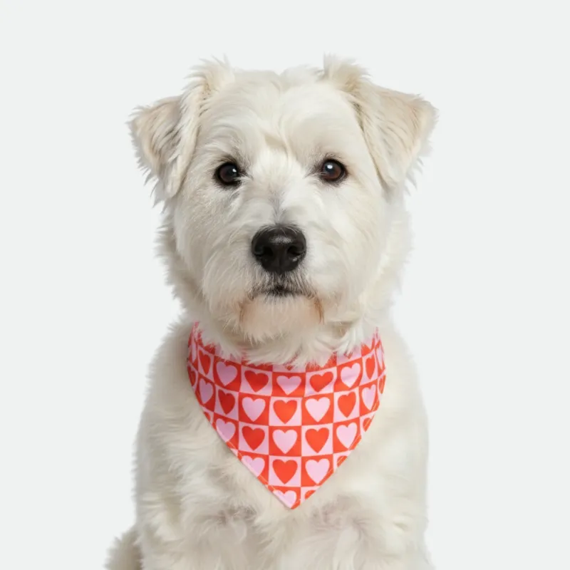Heart/Pink Dog Bandana made by Matador