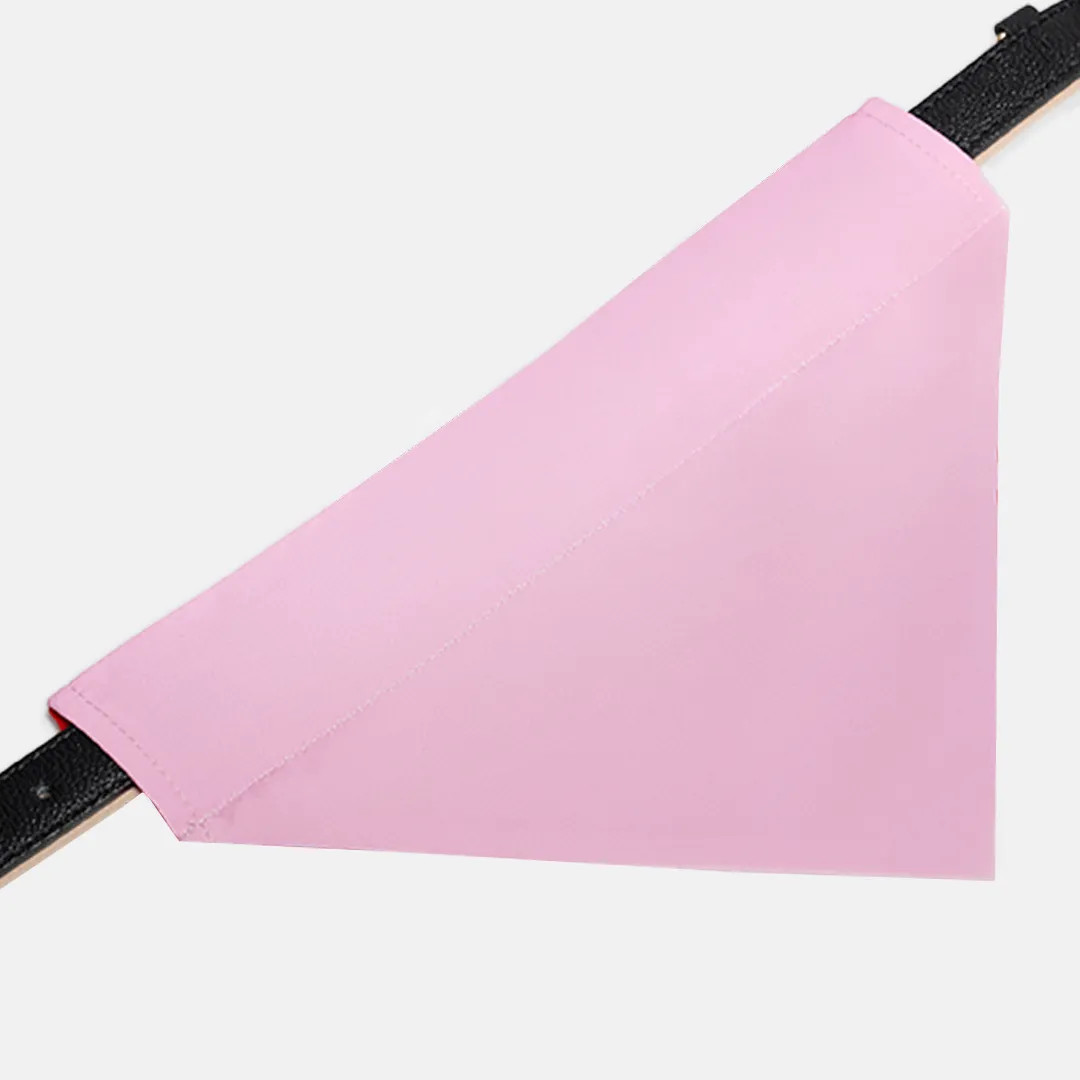 Heart/Pink Dog Bandana sold by Matador product image thumbnail 3