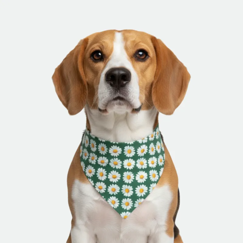 Daisy/Green Dog Bandana made by Matador