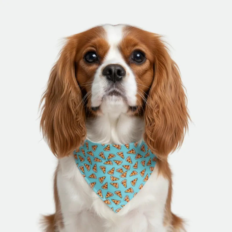 Pizza/Teal Dog Bandana made by Matador