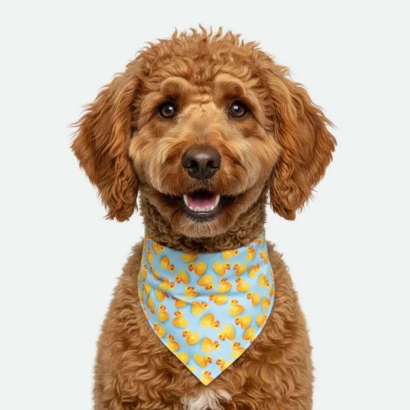 Duck/Blue Dog Bandana made by Matador
