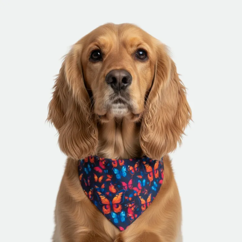 Butterfly/Orange Dog Bandana made by Matador