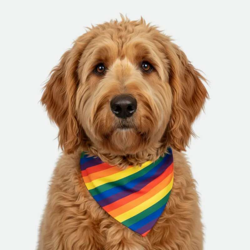 Pride/Red Dog Bandana made by Matador