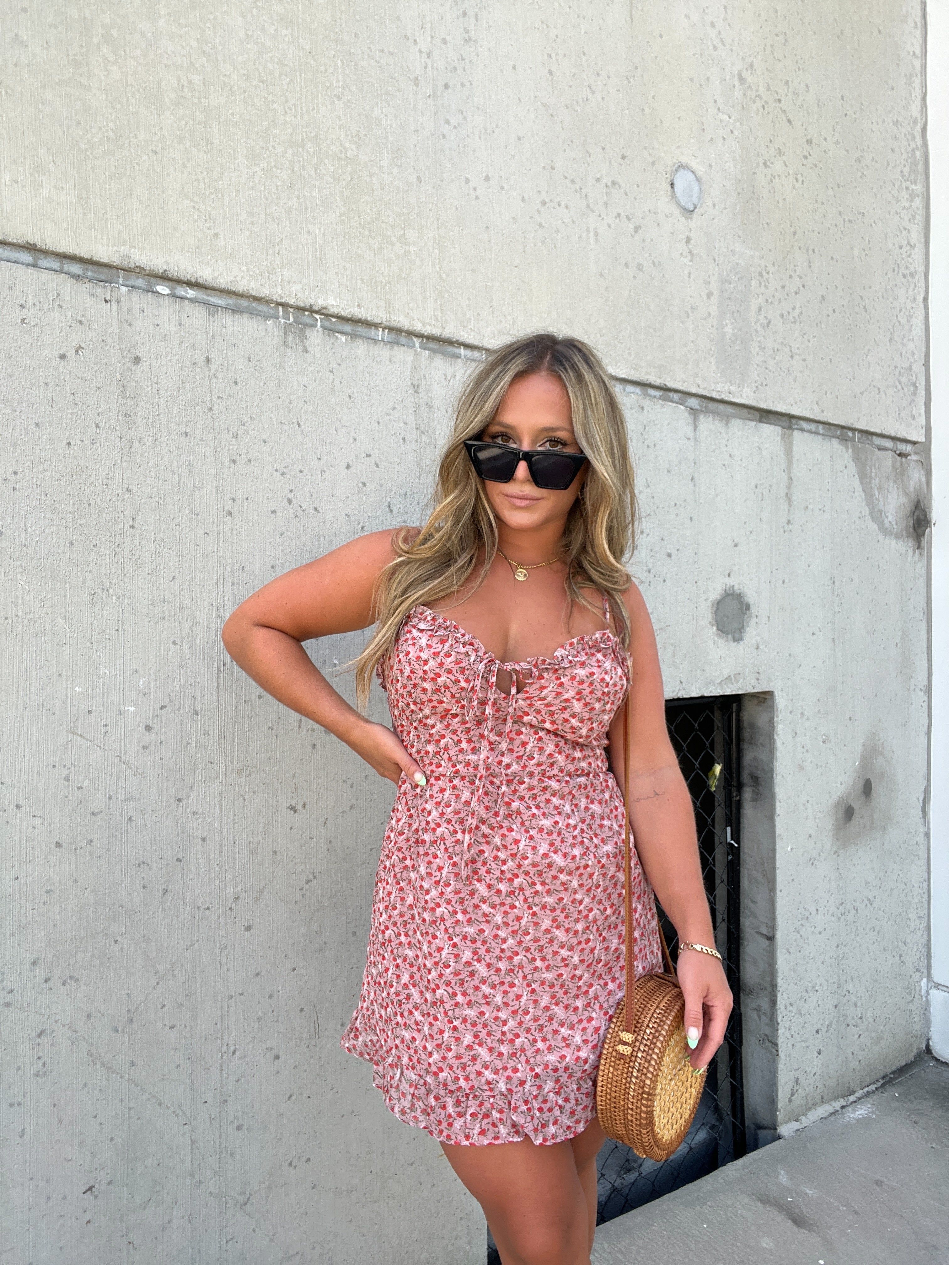 DAINTY ROSE RUFFLED MINI DRESS sold by Chic by Ally B product image thumbnail 7