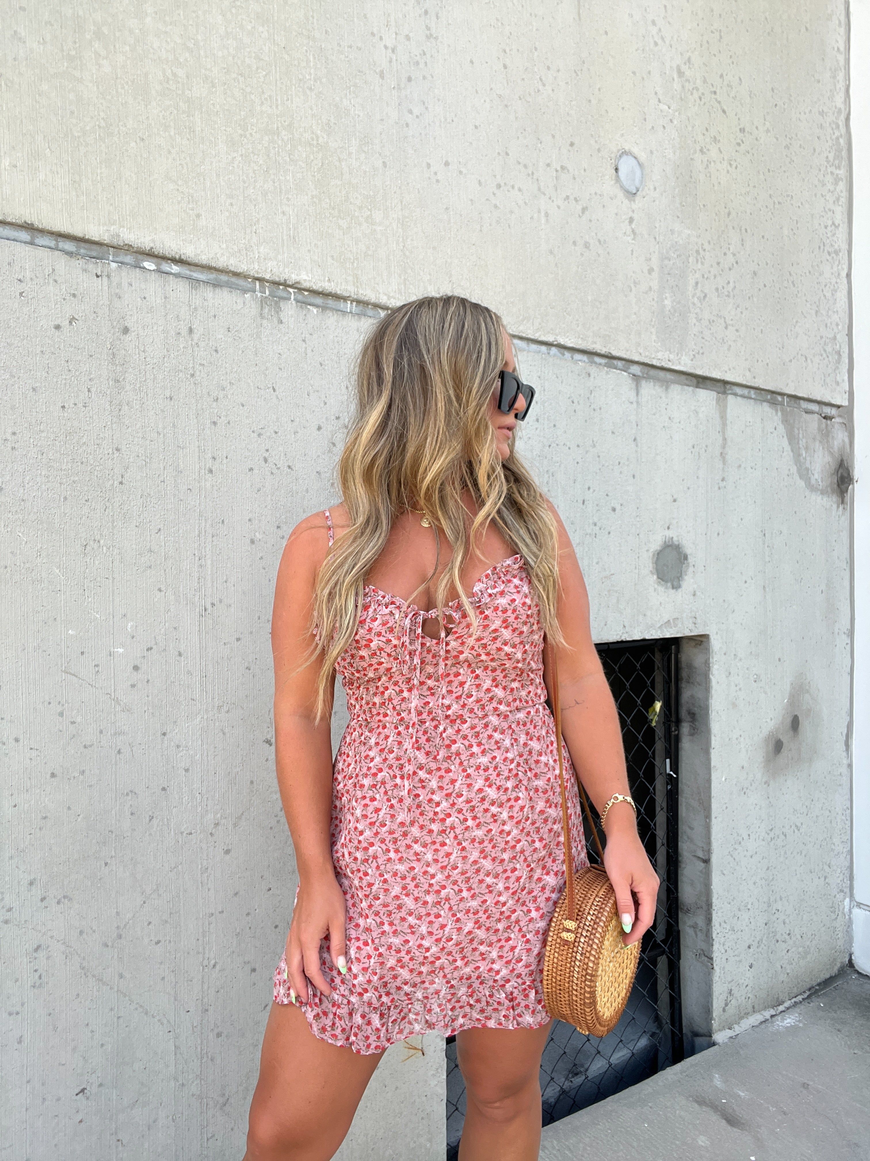 DAINTY ROSE RUFFLED MINI DRESS sold by Chic by Ally B product image thumbnail 13