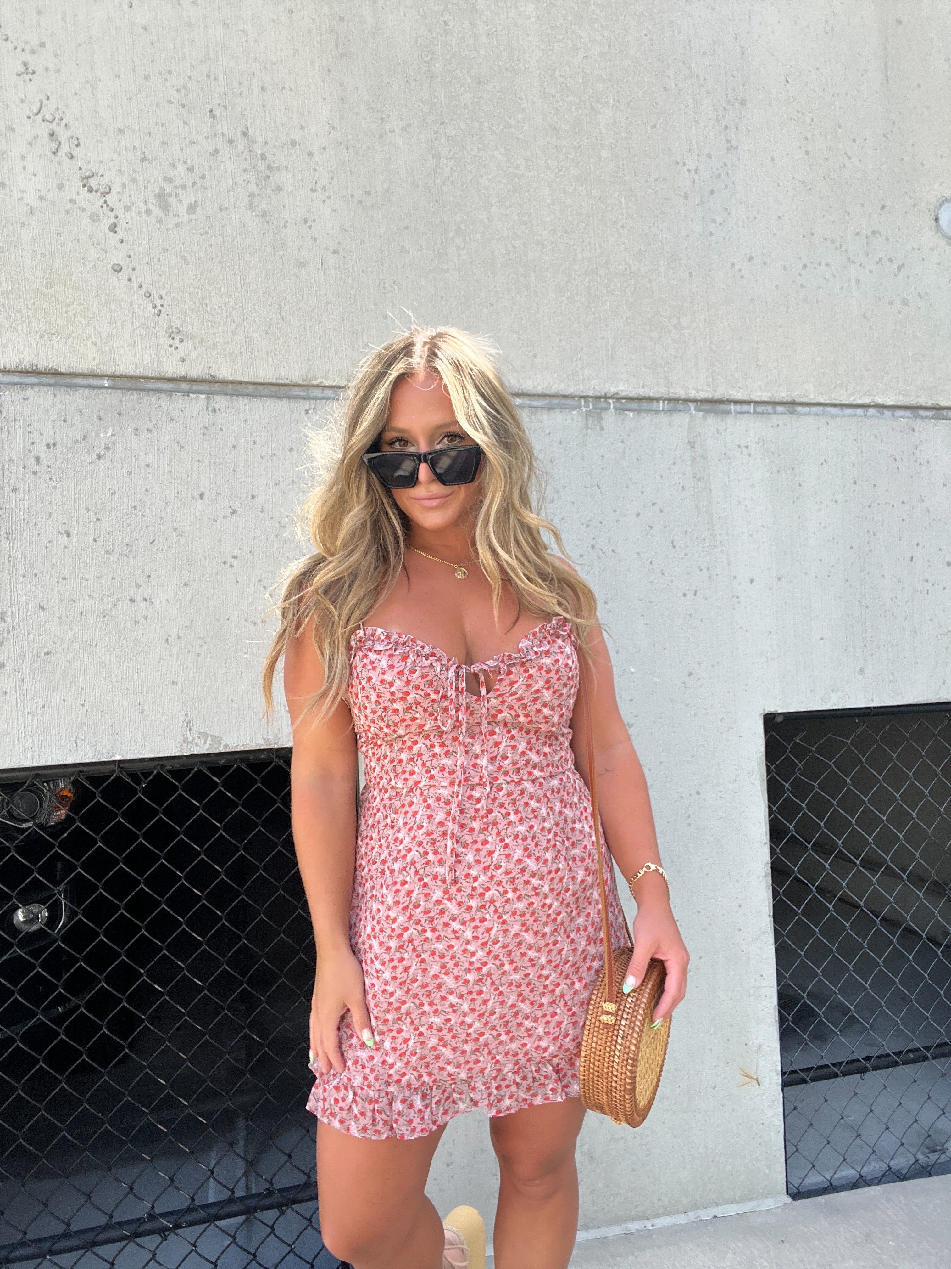 DAINTY ROSE RUFFLED MINI DRESS sold by Chic by Ally B product image thumbnail 12