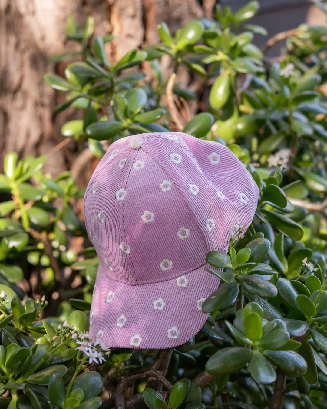 Lazy Daisy | Corduroy Cap sold by Carmico