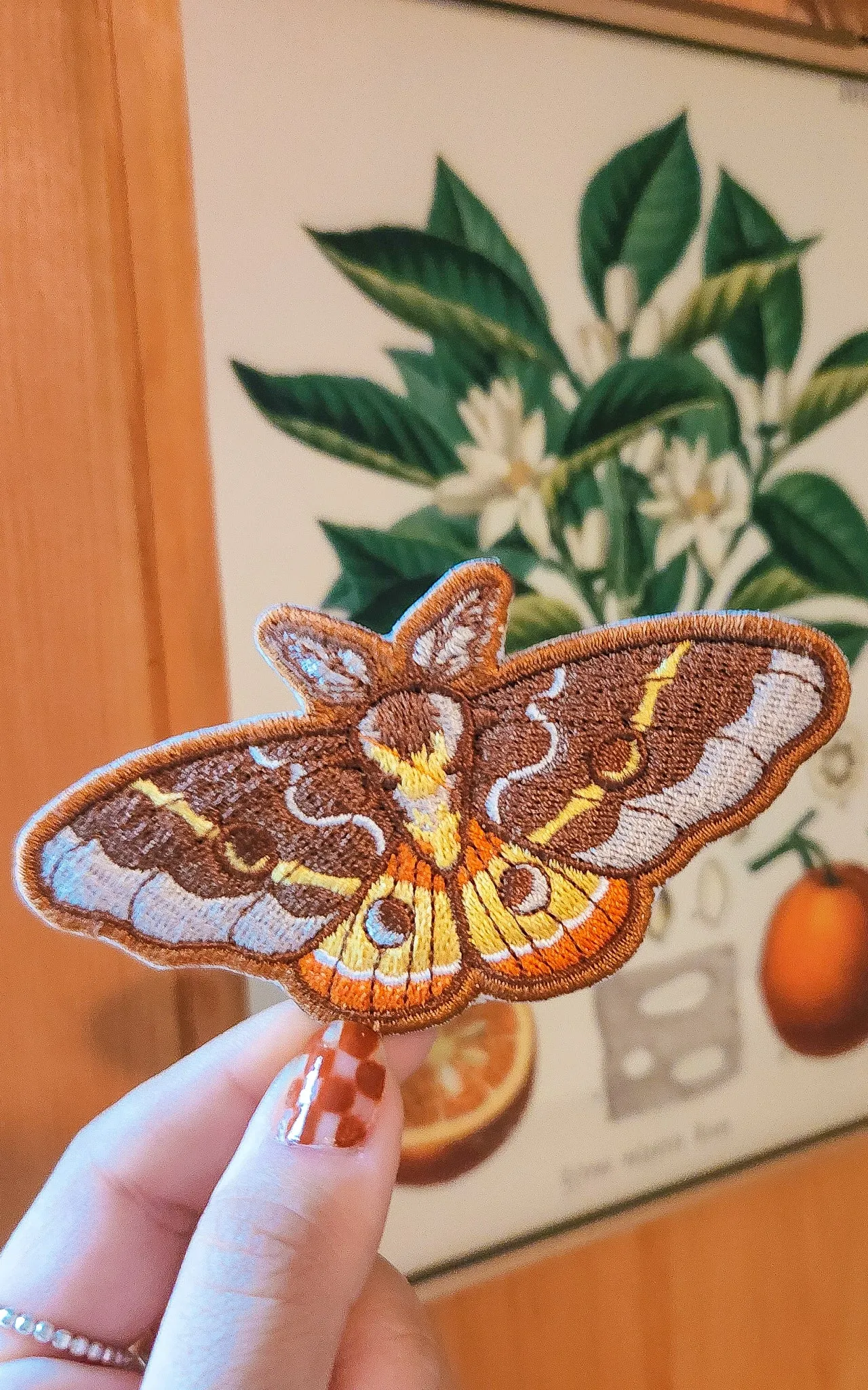 Moth Patch sold by Carmico product image thumbnail 2