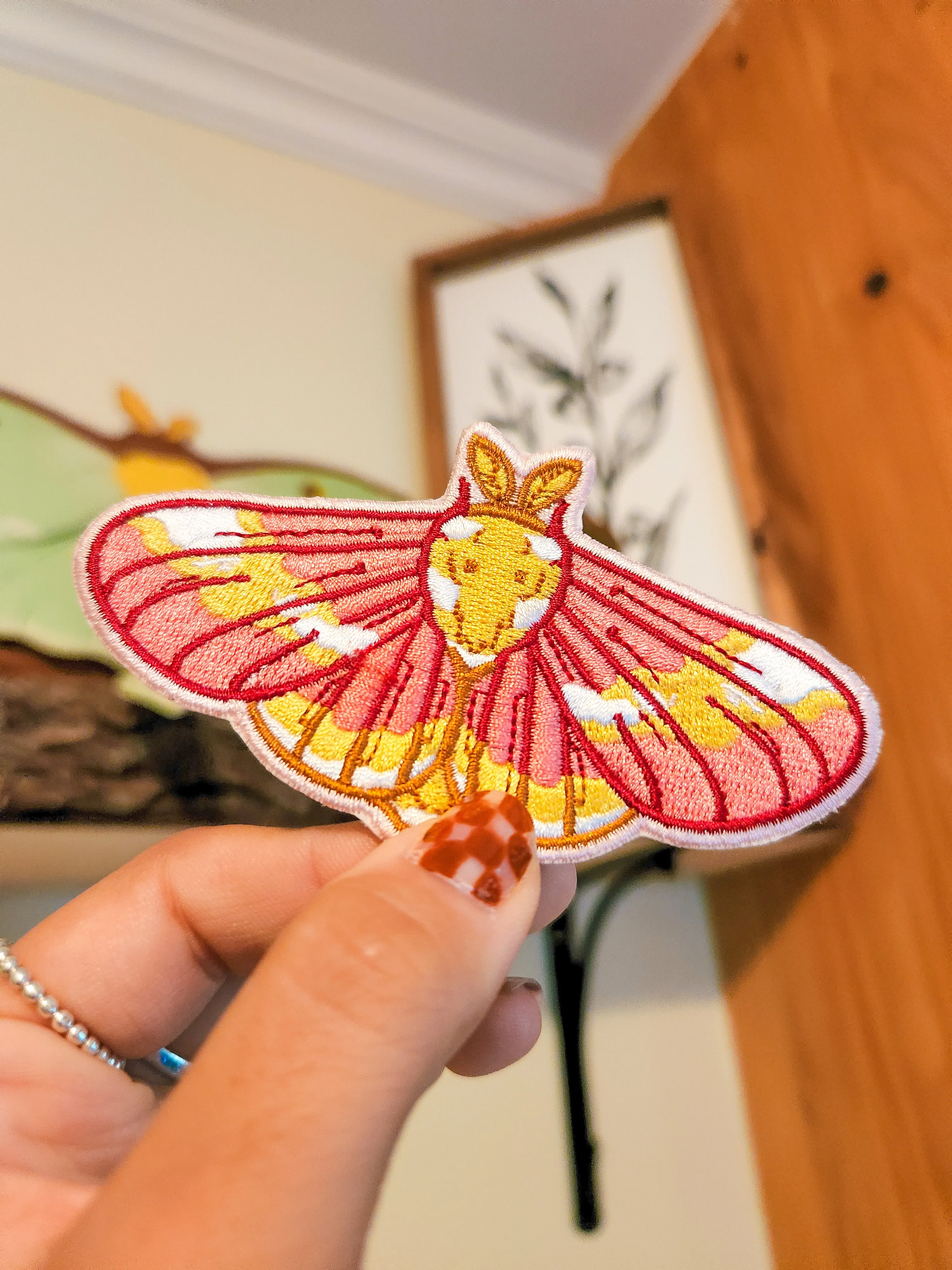 Moth Patch sold by Carmico product image thumbnail 3