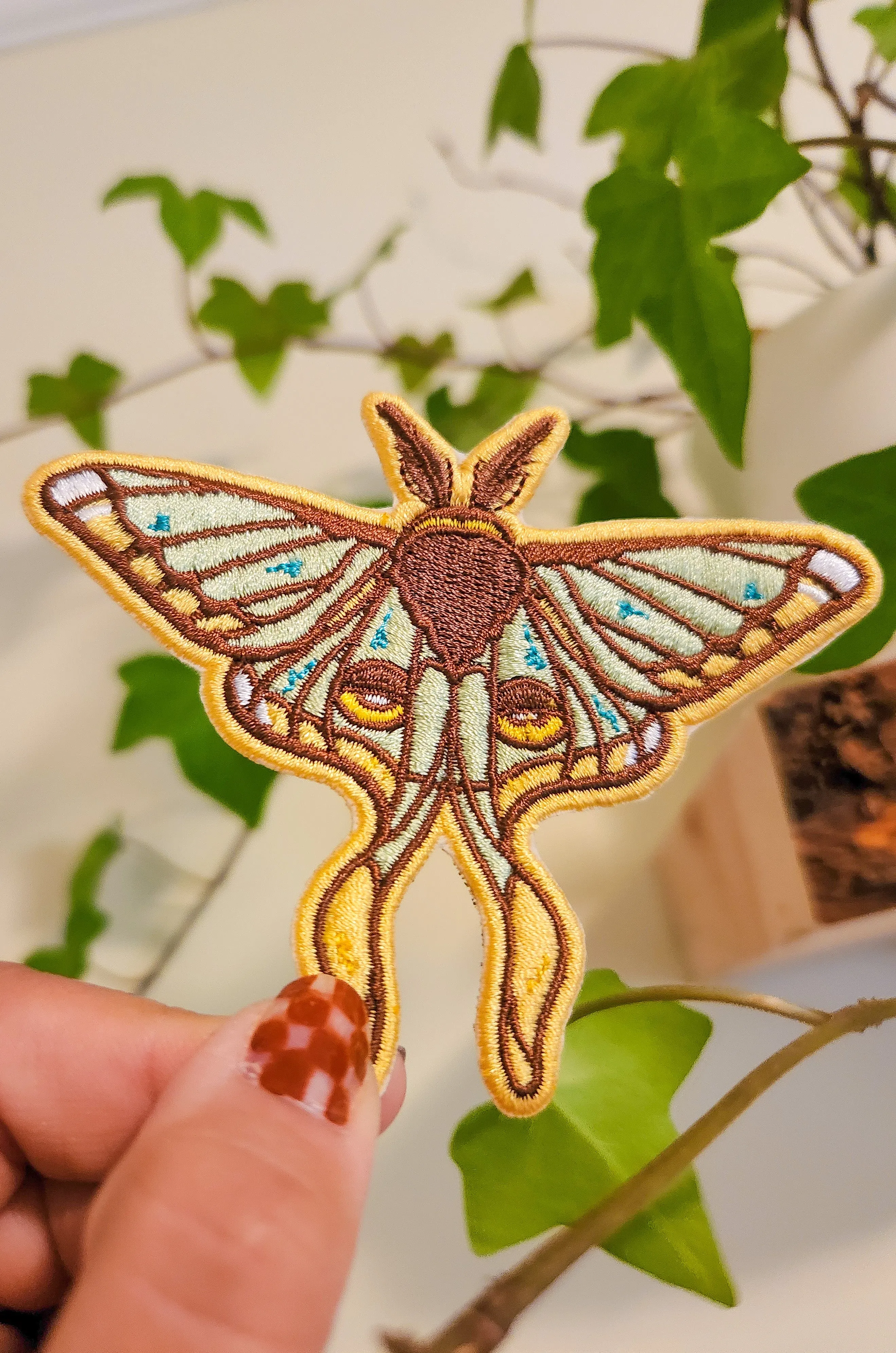 Moth Patch sold by Carmico product image thumbnail 4