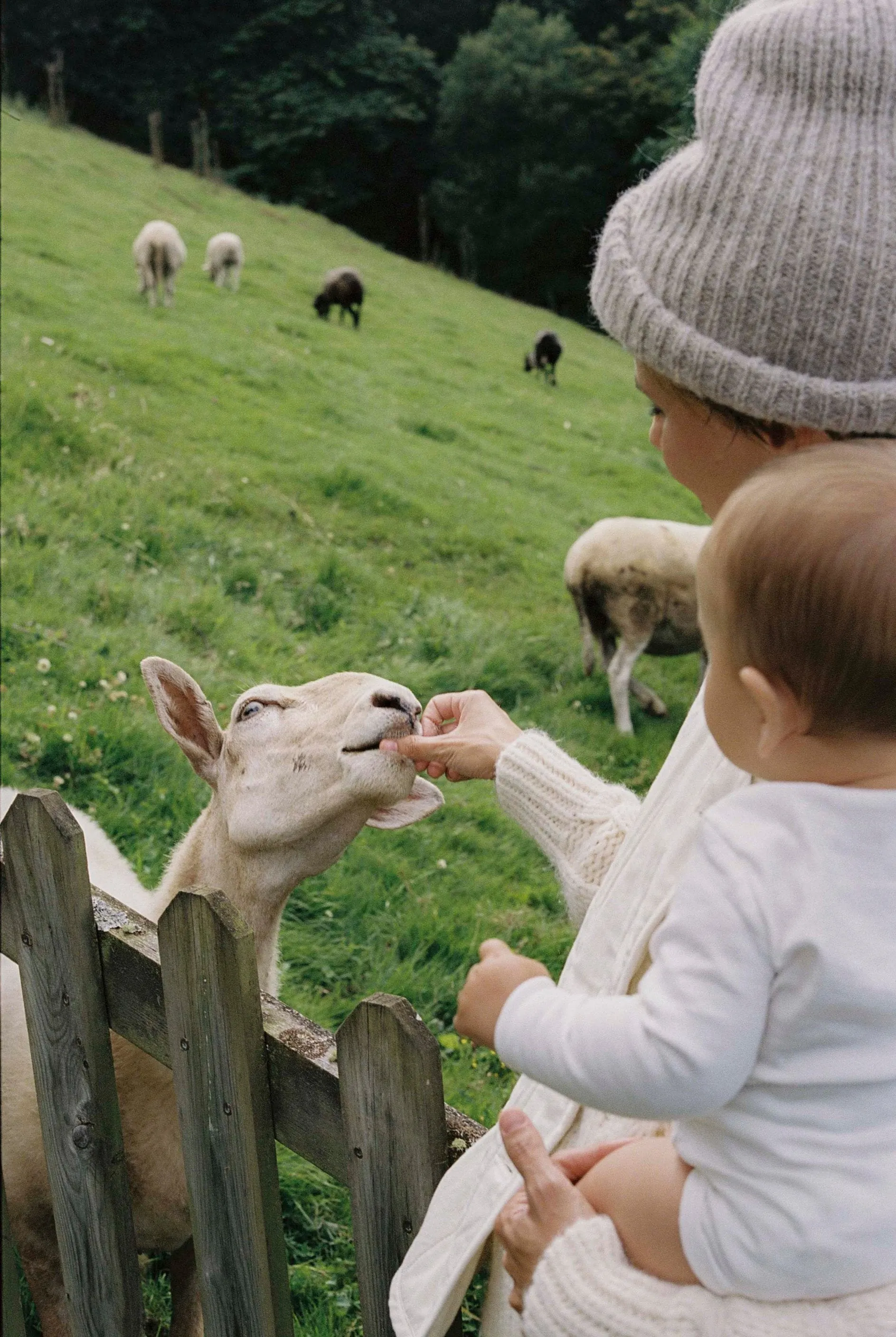 Quilted Vest, Regen Silk Noil, Natural sold by Ozma product image thumbnail 3