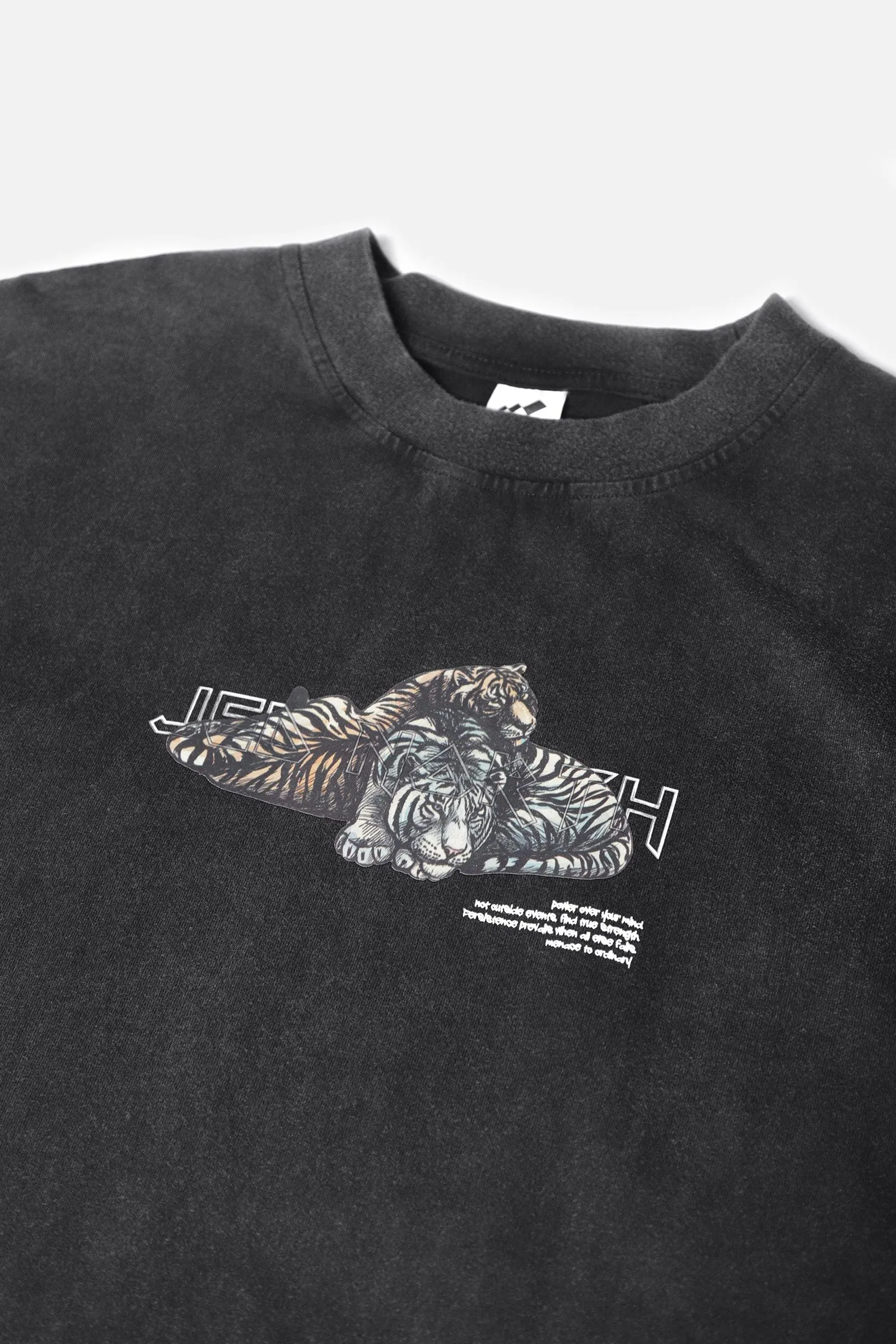 Vintage Oversized T-Shirt - Beast Tamer sold by Jed North product image thumbnail 4