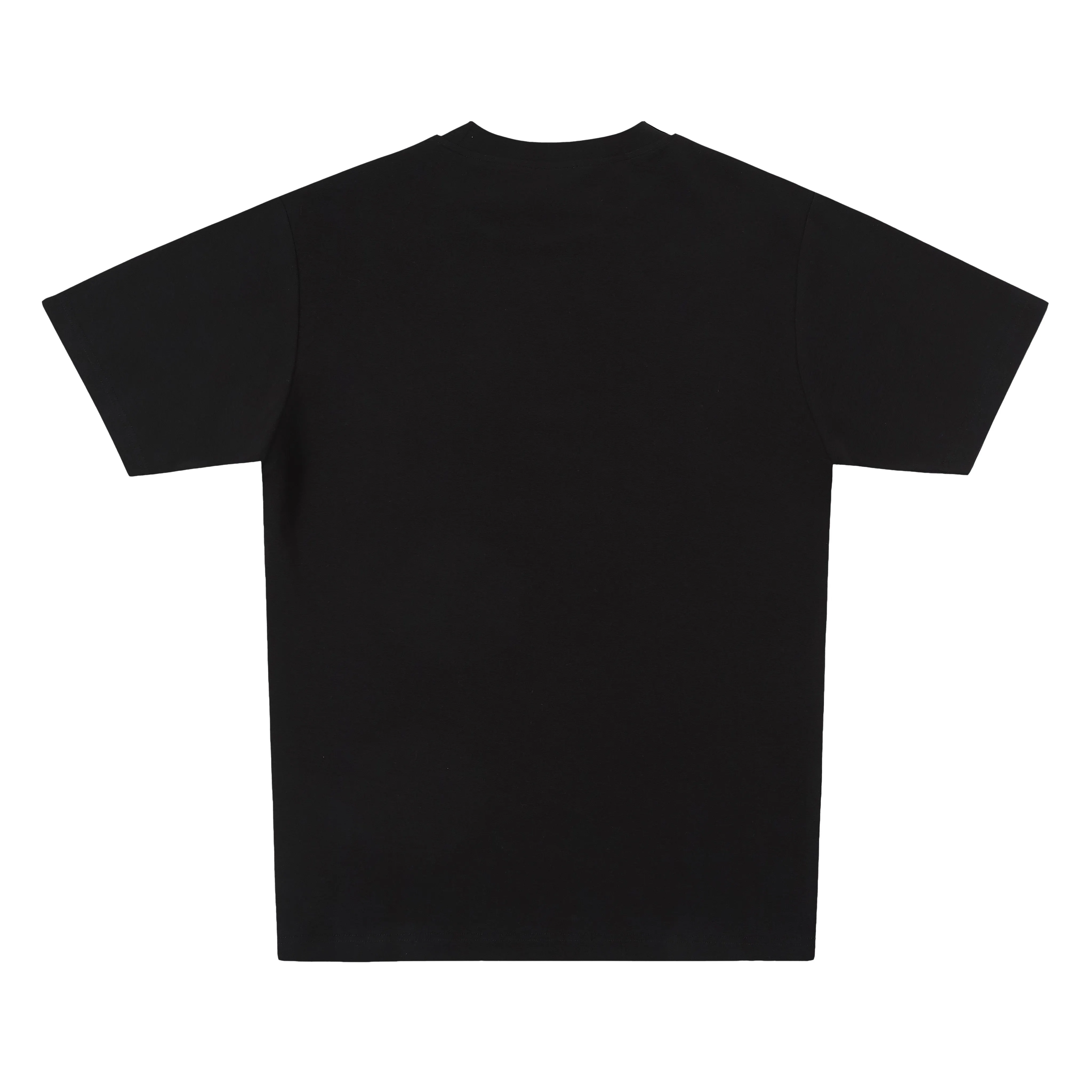 250 GSM T-SHIRT / SLIM sold by GaloreYYZ product image thumbnail 4