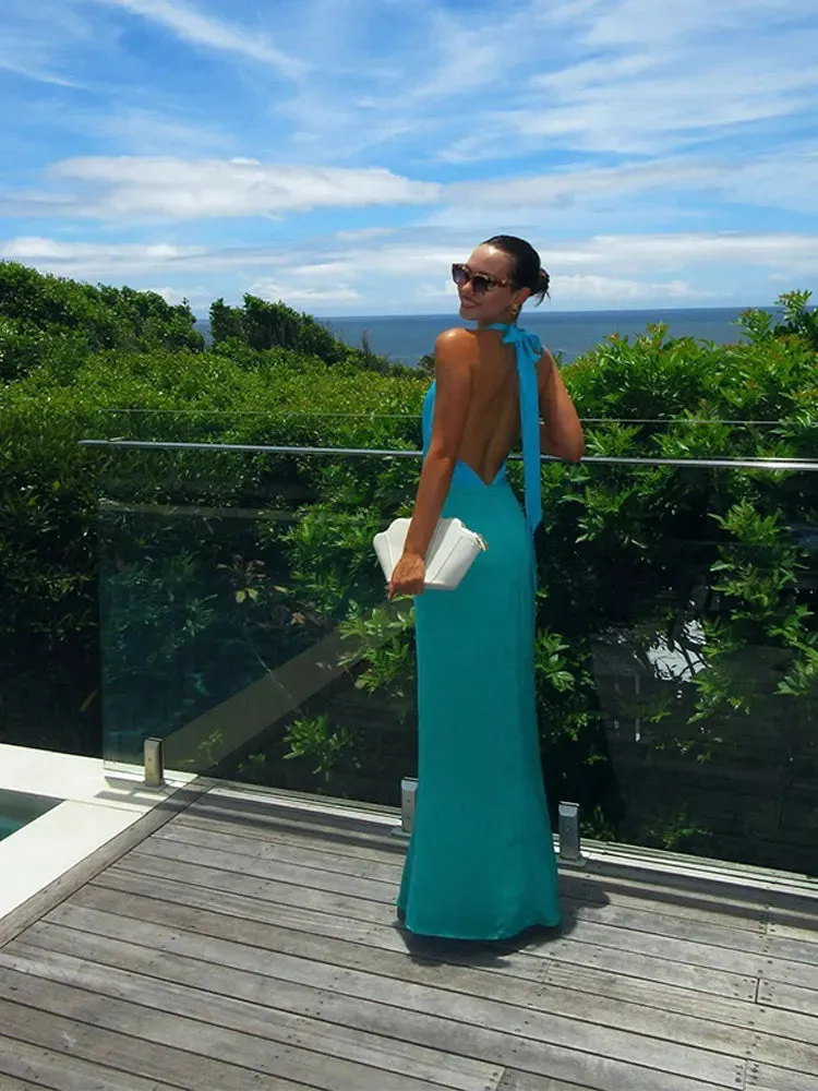 Ambrosia Maxi Dress sold by Hudson and Bailey product image thumbnail 4