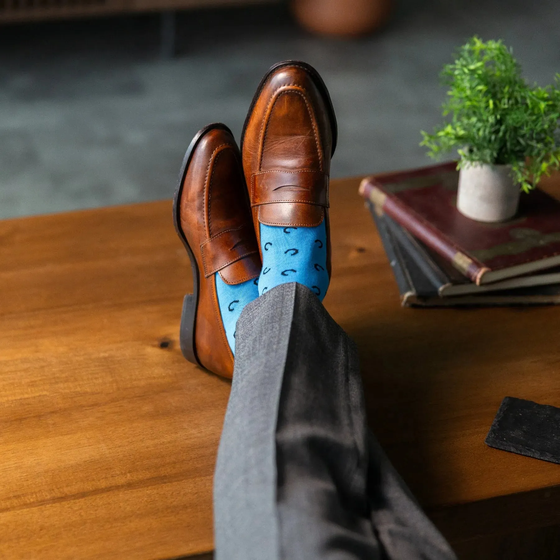 The Penchins - A Sky Blue Sock with Black Horseshoes sold by Southern Scholar product image thumbnail 4
